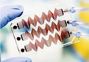 1459911484904355.jpg QQ截圖20160406105551.jpg