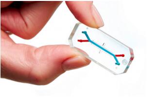 1460362888927377.jpg 20160411162057.jpg