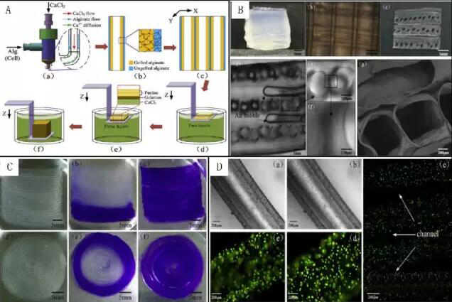 1462325455113918.jpg 20160504092724.jpg