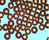 1477532506101602.png 微流控芯片|微流控芯片批量加工