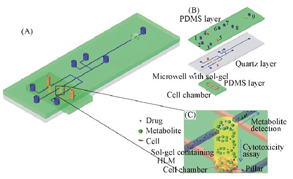 微流控芯片實(shí)驗(yàn)室