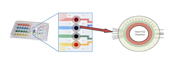 微流控實(shí)驗(yàn)室
