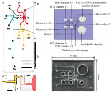 1480584813430360.jpg 微流控芯片|微流控芯片批量加工