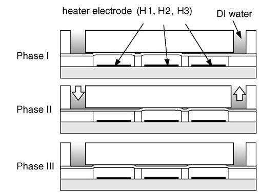 1482114390561521.jpg 20161219102608.jpg