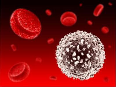 1482211977128041.jpg 20161220133156.jpg