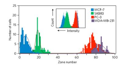 1482212052133858.jpg 20161220133112.jpg