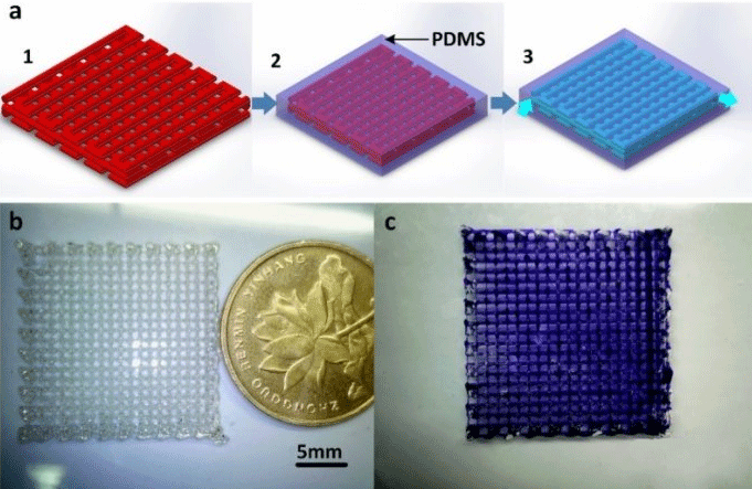 1483518268120790.png pdmsfeh.png