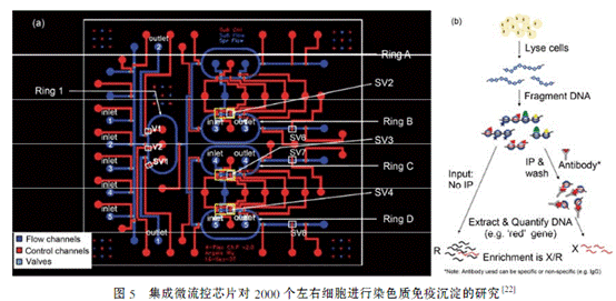 1485050204106495.gif QQ截圖20170122092649.png