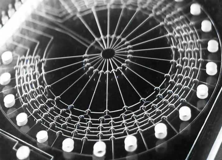 photo for cover final version.jpg