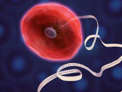 1489022425206896.jpg timg (1).jpg