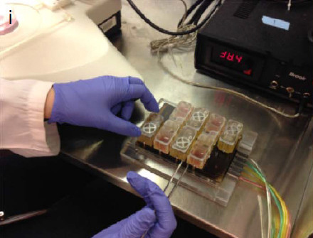 1490754609140171.jpg 005O.jpg