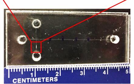 能夠預(yù)測早產(chǎn)風(fēng)險的微流控芯片