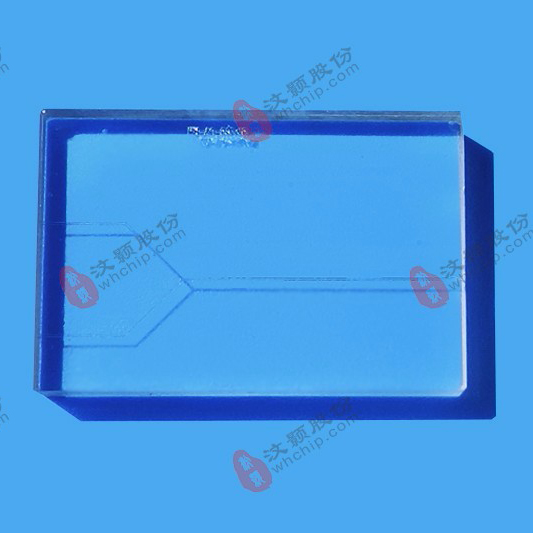汶顥微流控芯片技術(shù)公司生產(chǎn)的芯片 汶顥微流控芯片技術(shù)公司生產(chǎn)的芯片