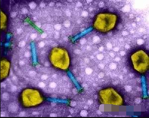 微流控芯片用于細(xì)胞篩選