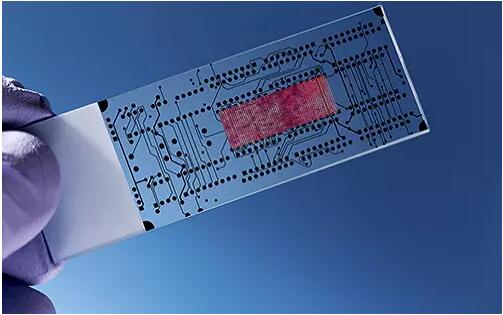 微流控技術(shù)在生物醫(yī)學領(lǐng)域的應用