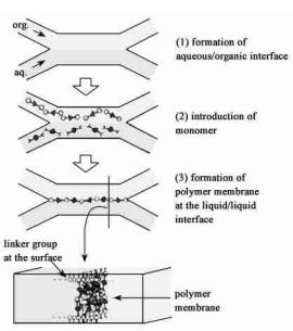 微流控芯片層流技術(shù) 微流控芯片層流技術(shù)