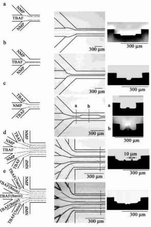 微流控層流在生命醫(yī)學(xué)方面的應(yīng)用 微流控層流在生命醫(yī)學(xué)方面的應(yīng)用