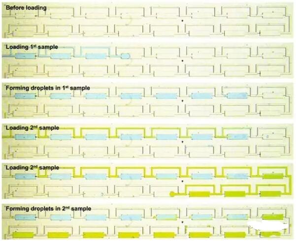 精準(zhǔn)癌癥治療新突破，24小時(shí)出癌細(xì)胞藥敏結(jié)果