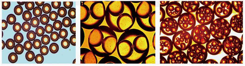 Double emulsion microscopy photos: single-core, dual-core, multi-core Double emulsion microscopy photos: single-core, dual-core, multi-core