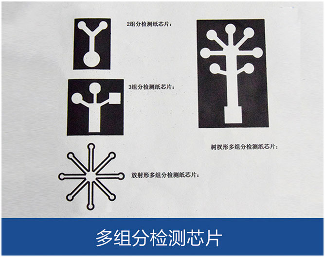 多組分檢測(cè)芯片