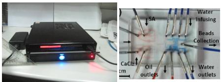 新型數(shù)字化閥控微流平臺及其應(yīng)用在藥物開發(fā)和抗藥篩選方面的研究