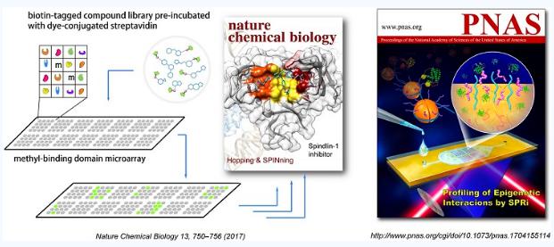 表觀遺傳研究的新蛋白微陣列技術(shù) 表觀遺傳研究的新蛋白微陣列技術(shù)