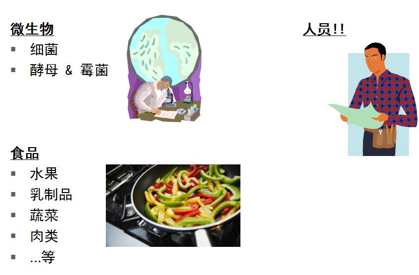 4.ATP的主要來源 4.ATP的主要來源