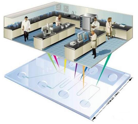 微流控芯片實驗室示意圖