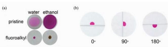 (a)染料水溶液和乙醇溶液分別滴加到原始濾紙上和全氟辛基二氧化硅修飾的濾紙上，及(b)水滴在不同旋轉(zhuǎn)角度全氟辛基二氧化硅修飾的濾紙表面上的照片