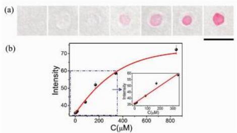 Ni(Ⅱ)離子的定性可視化檢測(cè)(a)及定量分析(b)