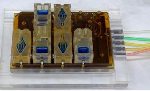 EVATAR是一款口袋大小的女性生殖系統(tǒng)模型，血樣流體（藍(lán)色）將流經(jīng)含有微型器官的孔