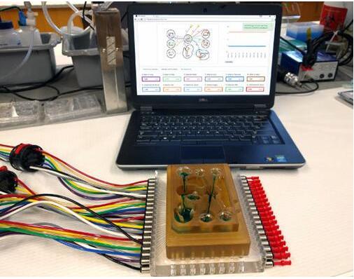 研究人員將多器官平臺(tái)連接到相關(guān)軟件，每個(gè)孔都連接有一個(gè)微型生理系統(tǒng)，如肺、腸道，或中樞神經(jīng)系統(tǒng)，流體流經(jīng)通道以模擬生理心臟輸出