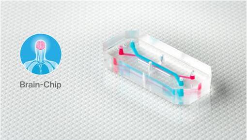 Emulate的器官芯片，如大腦芯片，包含排列成千上萬活的人體細(xì)胞和組織的微小中空通道，每個(gè)都有大約AA電池（5號(hào)電池）大小