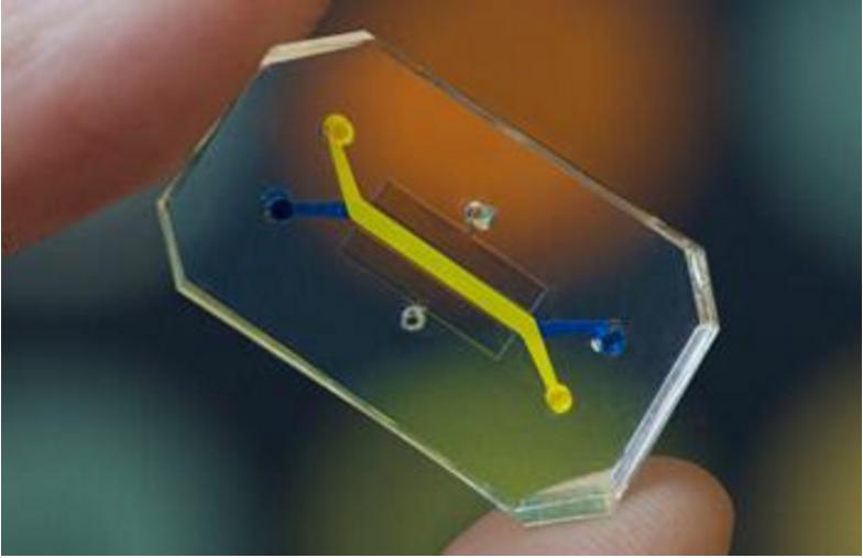 微流控微通道的肺泡芯片