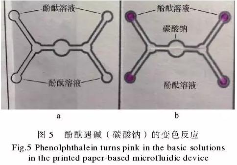 為了驗(yàn)證紙包裝與紙基微流控芯片的整合技術(shù)，在紙盒的4個(gè)體板上分別制作了4個(gè)微流控芯片，該紙基芯片在pH值檢測(cè)中的應(yīng)用示例見圖5。