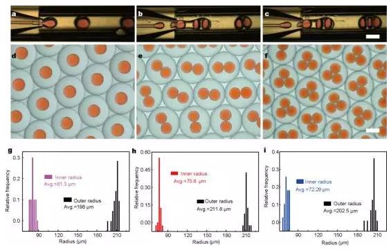 使用微流控裝置得到不同尺寸和結(jié)構(gòu)的微膠囊