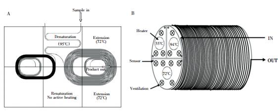圖3  螺旋通道型 PCR裝置: ( A) 平面螺旋通道 PCR 裝置，( B) 圓柱螺旋通道 PCR裝置