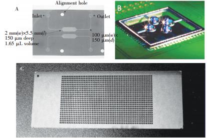  微池型 PCR芯片: (A) 單反應池 PCR芯片，(B) 液滴虛擬微池 PCR芯片， (C) 微池陣列 PCR芯片