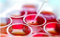 納米技術(shù)芯片或可一次性修復(fù)受傷組織 納米技術(shù)芯片或可一次性修復(fù)受傷組織