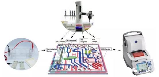 PCR反應(yīng)，DNA電泳在芯片上的整合
