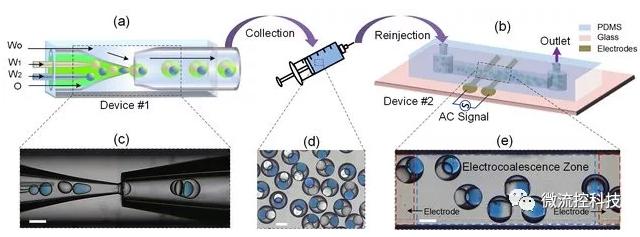 哈工大在微流控納升級(jí)微反應(yīng)器研究領(lǐng)域取得新進(jìn)展 哈工大在微流控納升級(jí)微反應(yīng)器研究領(lǐng)域取得新進(jìn)展