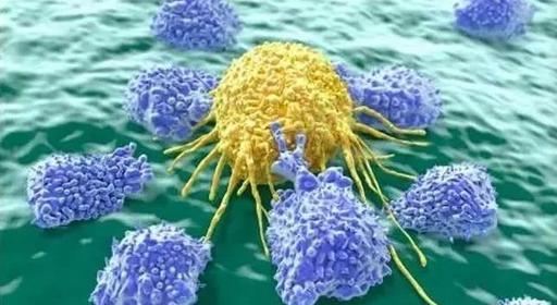 微流控芯片在循環(huán)腫瘤細胞中的應用