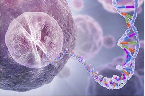 單細(xì)胞測(cè)序