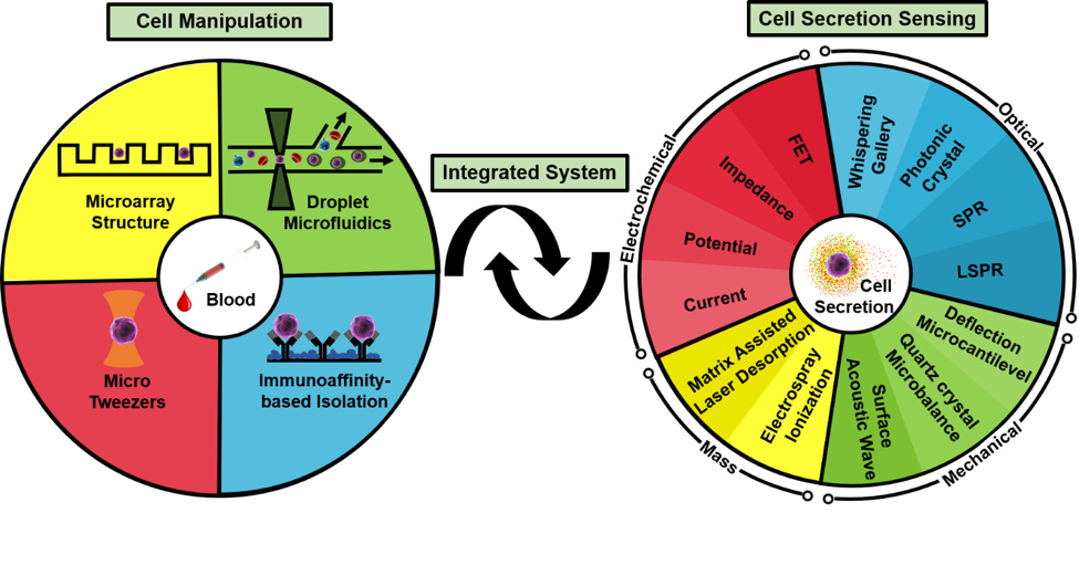 基于微流體系統(tǒng)的單細(xì)胞生物檢測技術(shù)