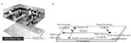 圖 1 微流控芯片的主要功能(A)及常見微流控芯片通道結(jié)構(gòu)(B)