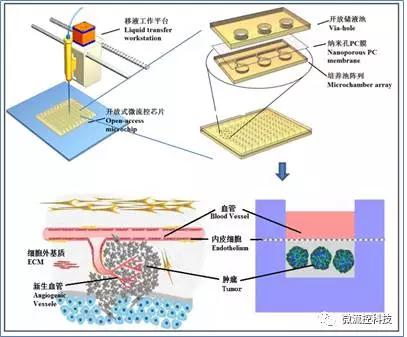 開放式微流控芯片組織陣列系統