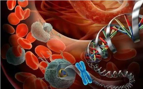 循環(huán)腫瘤細(xì)胞（CTC）在精準(zhǔn)醫(yī)療領(lǐng)域的應(yīng)用