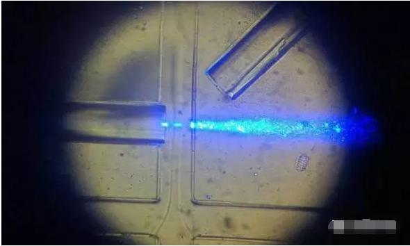 工作中的新型設(shè)備：光纖發(fā)出藍(lán)光，照亮從左向右流動(dòng)的細(xì)胞樣本。（圖片來(lái)源：URV）