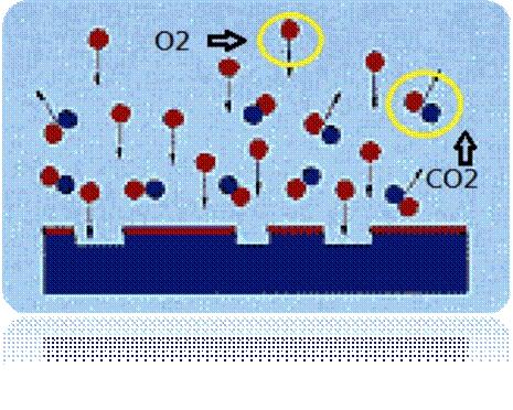 圖二為已被電離化的氣體分子團（Plasma）對被處理材料的分子團進行撞擊及反應(yīng)。