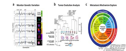 檢測腫瘤進(jìn)展期間臨床相關(guān)的基因變異